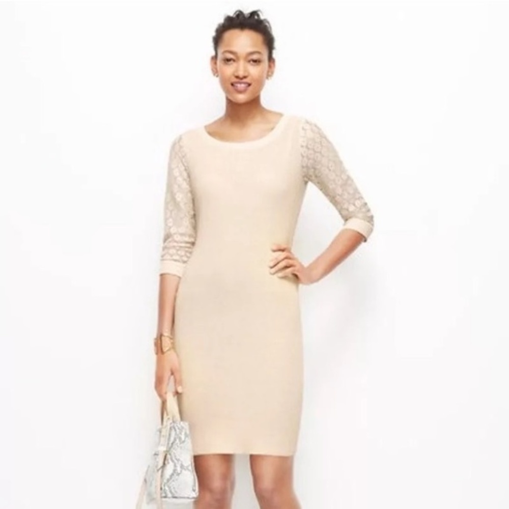 Ann Taylor Lace-Sleeved Sweater Dress